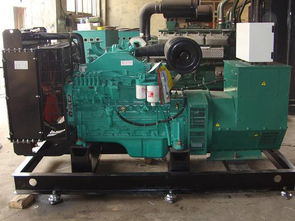 銅陵柴油發(fā)電機(jī)組租賃 如何買專業(yè)的柴油發(fā)電機(jī)組