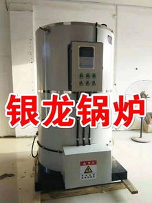 建筑工地大型電開(kāi)水鍋爐食品廠,電子廠電開(kāi)水爐