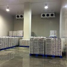 食品冷藏庫(kù)